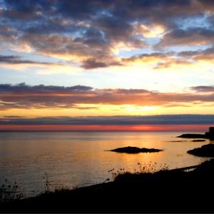 Archirondel-Night-Time-Calling