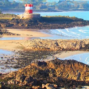 Jersey Delights - Archirondel