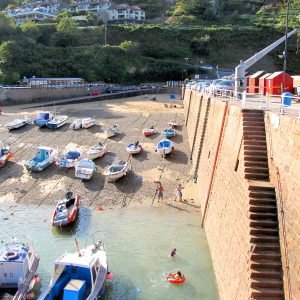 Bonne Nuit Bay Jersey