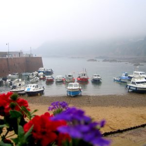 Bonne Nuit Bay Jersey