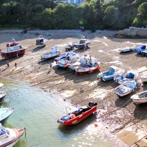 Bonne Nuit Bay Jersey