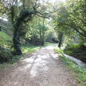 Val De La Mare Jersey