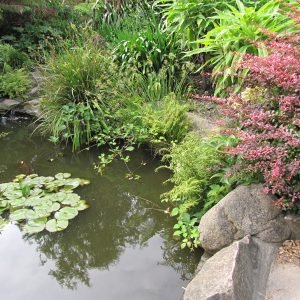 Howard Davis Park Jersey