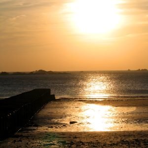 Greve D'Azette Jersey