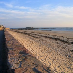 Greve D'Azette Jersey