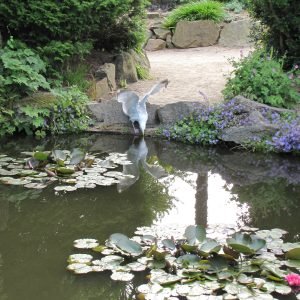 Howard Davis Park Jersey