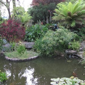 Howard Davis Park Jersey