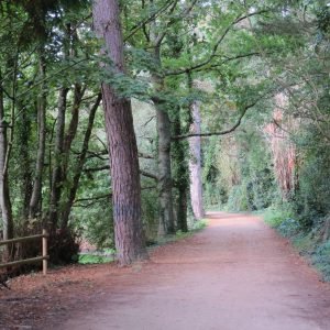 Railway Walk St Peter Jersey