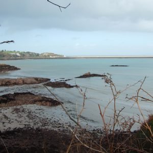 St Catherine's Jersey