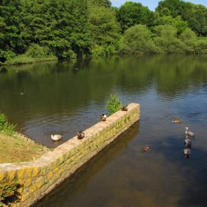 Queens Valley Jersey