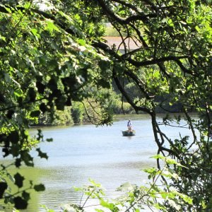 Queens Valley Jersey