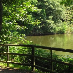 Queens Valley Jersey