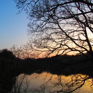 Queens Valley Jersey