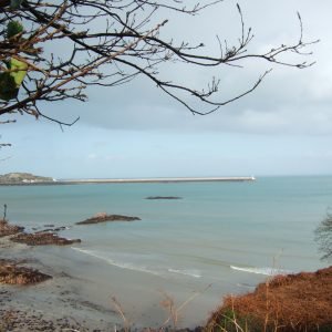 St Catherines Jersey