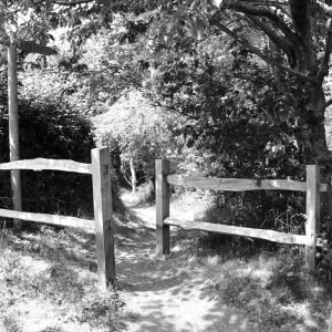 St Catherine's jersey