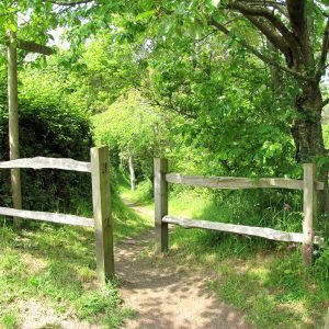 St Catherines Jersey