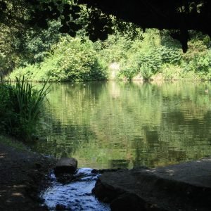 St Catherines Jersey