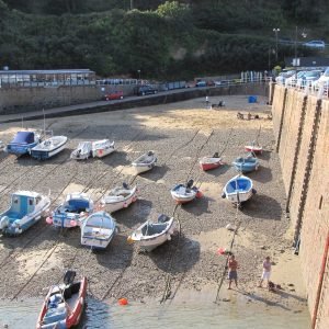 Bonne Nuit Bay Jersey