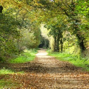 Val De La Mare Jersey