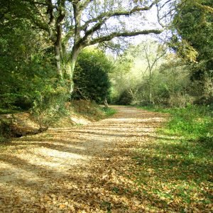 Val De La Mare Jersey