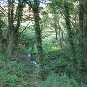 Vic in the Valley Jersey