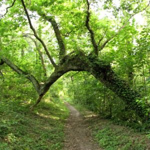 Waterworks Valley Jersey