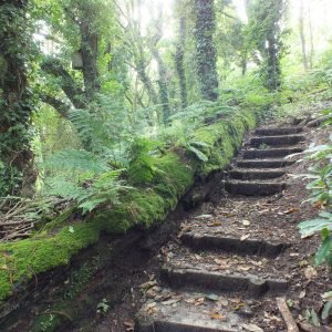 Waterworks Valley Jersey