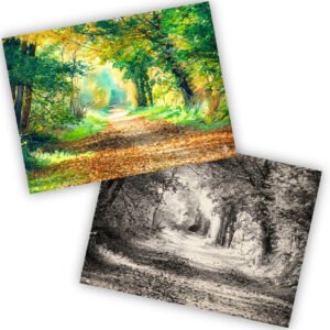 Autumn in Val De La Mare